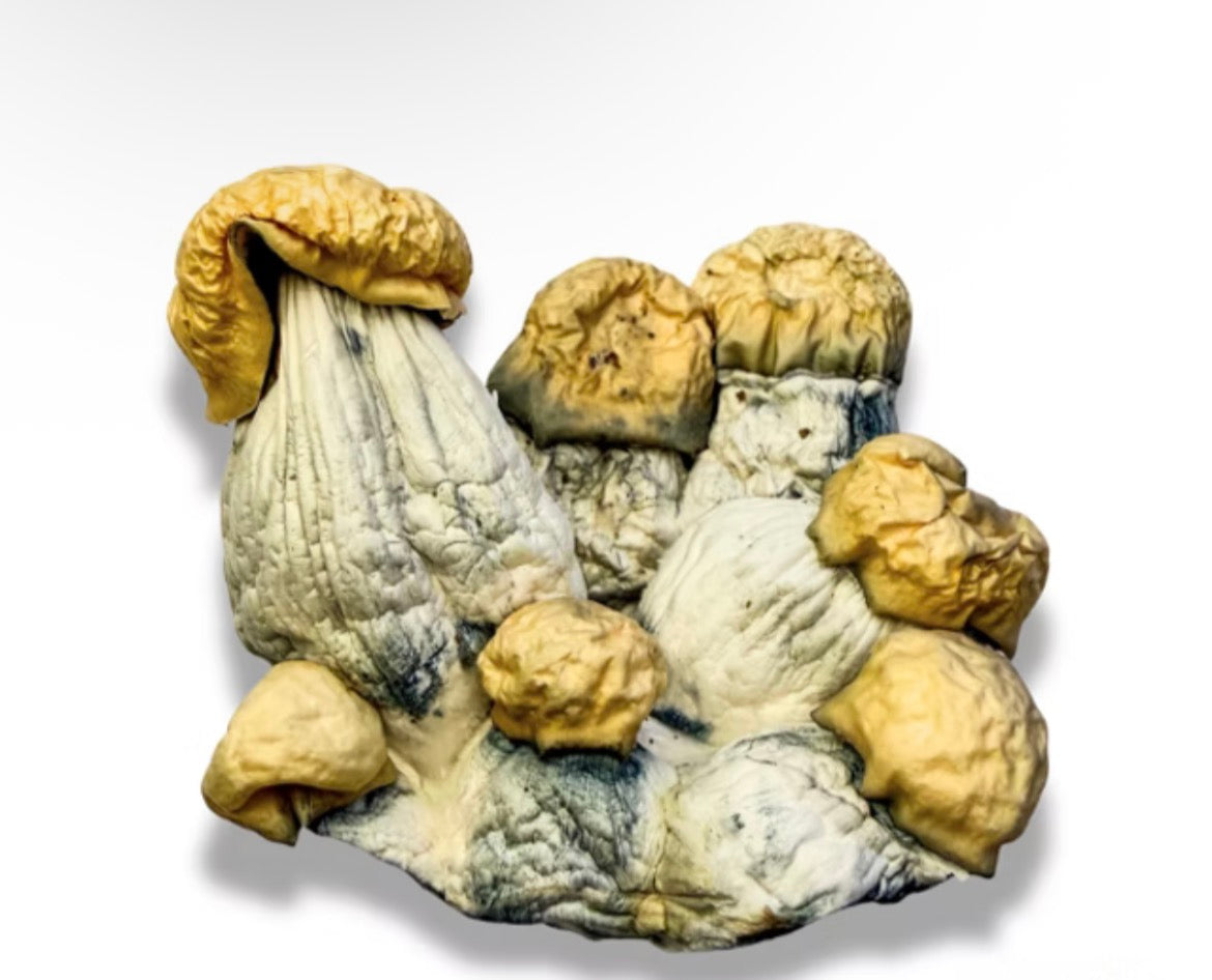 Mush Love Cookies & Cream Mushroom Chocolate Bar 4g