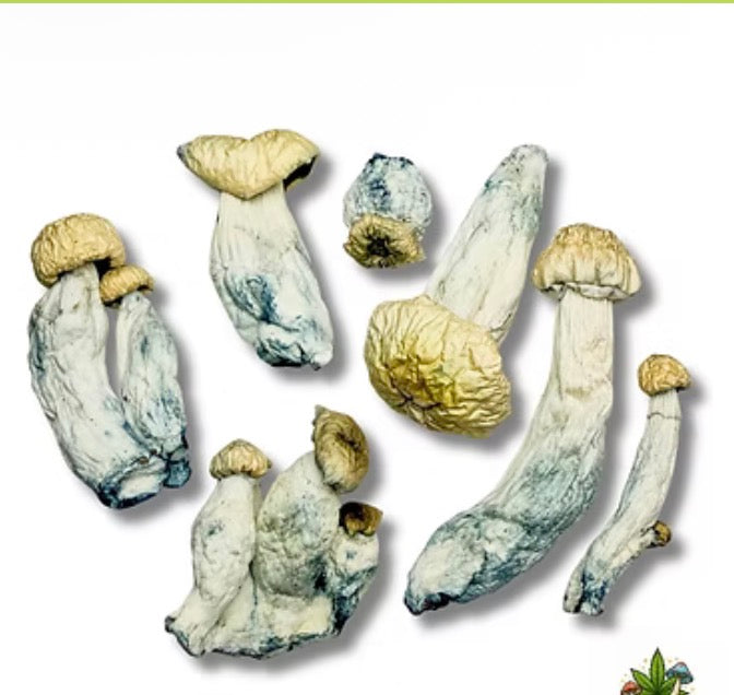 Mush Love Cookies & Cream Mushroom Chocolate Bar 4g